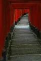 Allée de Torii à Kyoto